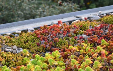 the cost of Llanddewi green roof installation