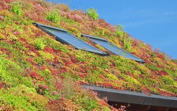 Llanddewi living roof systems